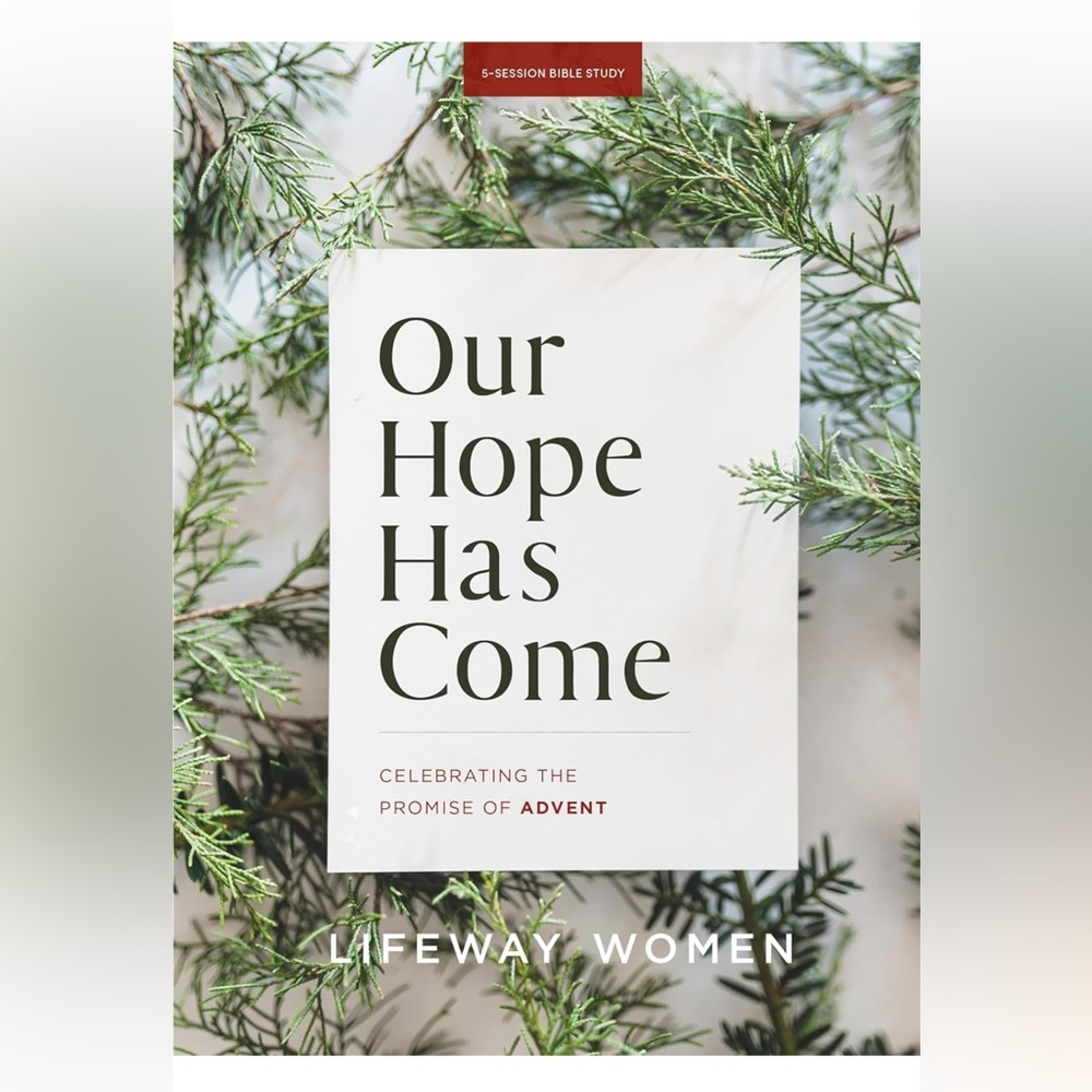 Advent study Christmas story